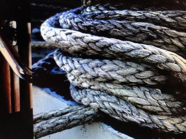 Schiff Ahoy, Hotelschiff, Hausboot, Boot, Passagierschiff シュトゥットガルト エクステリア 写真